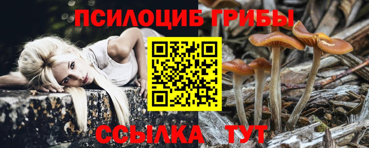 Краснокаменск  Псилоцибиновые грибы Cubensis  Псилоцибиновые грибы Psilocybine cubensis  Вход с VPN 